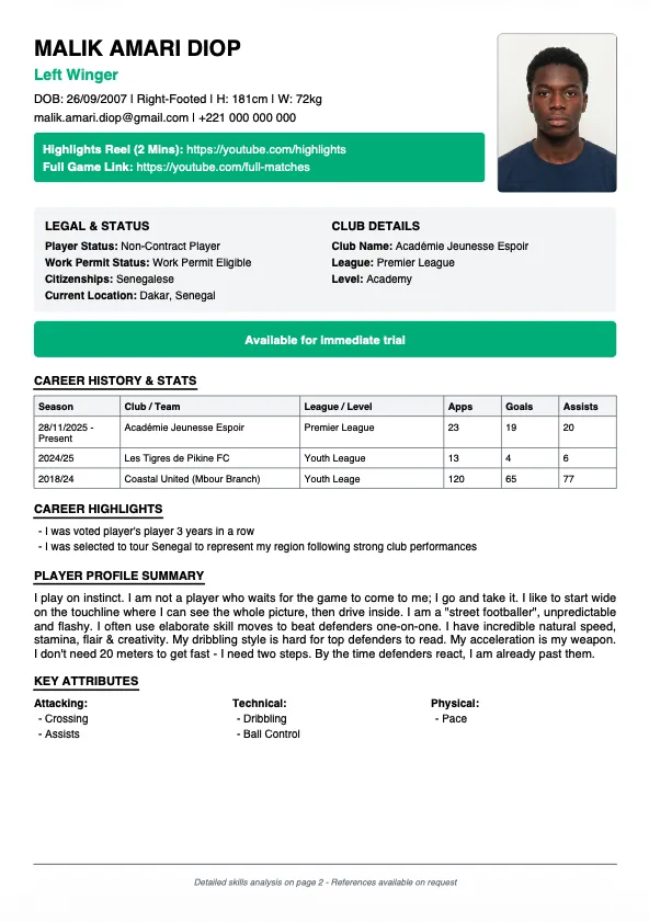 Professional football player CV with career history, highlights, and contact details